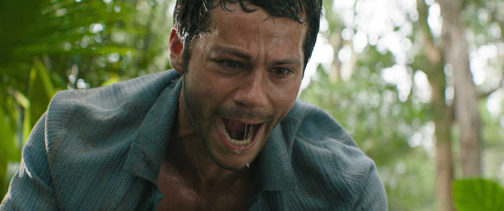 2026: O ano do terror! Veja os 10 filmes essenciais!